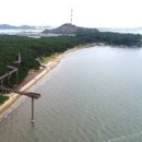 서천 가볼만한곳 장항 송림 산림욕장 서천 여행 장항 맥문동 꽃축제 이미지