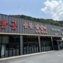 탑골숯불닭갈비 | 홍천 비발디파크 맛집 탑골 숯불닭갈비 내돈내산