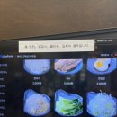 멘야고고덕신도시
