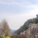 창녕 영산 만년교 이미지