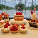 김선욱 농장 이미지