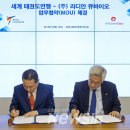 조정원 카카오 검색결과