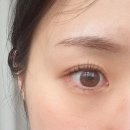 세븐일레븐(인천부평노체점) | [부평 속눈썹펌] 제니뷰티 : 손상 덜한 속눈썹펌 맛집, 친절하고 실력 좋은 곳