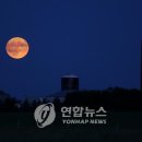 만월(Full Moon) 이미지