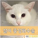 영인동물병원 이미지