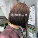 착한염색 | 성남동염색 착한바른염색 솔직 후기