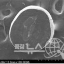 ㈜엔씨씨 이미지