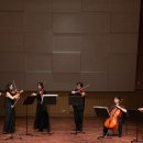 서구비원뮤직홀 공연장 이미지