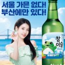 후레시관광