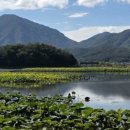 백마공원 화장실 이미지