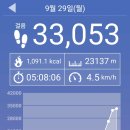 심청아배고파용두점