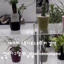 스튜디오스위트피