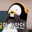 정글돔풀빌라 앤 글램핑 이미지