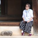 역사기행 코스 Daum카페