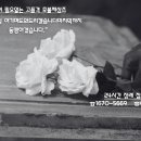 천연장례서비스