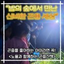 신기한 캔바 세상속으로 | 노을과 함께하는 곤충산책 후기｜밤의 산에서 만난 신기한 곤충세상✨