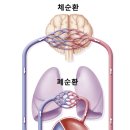 달리는이유 이미지
