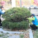 경기시민정원사협동조합 이미지