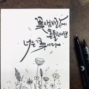 캘리와 함께 이미지