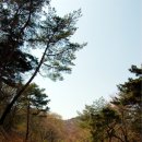 송정역 1번출구 뒤 이미지