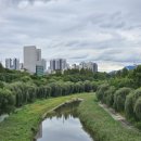 강남한울공인중개사사무소 이미지