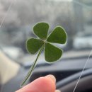 샤르망헤어샵 | 미금미용실 꾸밈헤어 미금역점 본비쌤 C컬펌 후기