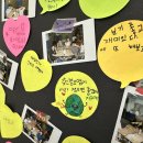 사파초등학교 이미지