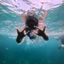 [2분기] Swim in English | 내가 꿈 꿔왔던 나이 28