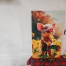 벨루스로즈 펜션 | 경주가족펜션 부모님 모시고 엄청 편하게 묵은 후기