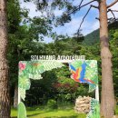 솔향수목원(암석원) | [강릉] 여행 중 가볼만한 곳 추천 "솔향수목원" 데이트 코스 후기