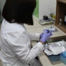 감초인력 네이버블로그