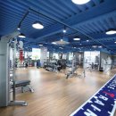 저스트인 피티 이미지