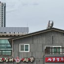 교동중학교 | 속초교동중식당 속초오징어짬뽕 점심 후기