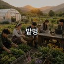 밭멍