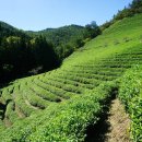 녹차장어가든 이미지