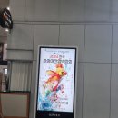 2024 관상어 박람회 방문기(마지막날)