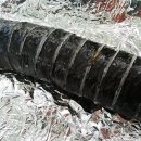 김밥2000 이미지