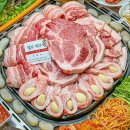 수원-1041 티스토리