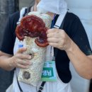 허들농장 이미지