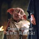 청년복덕방공인중개사사무소 이미지