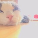 (주)더더더 이미지