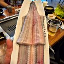 칭구장어 이미지