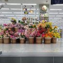 파리바게뜨 외동 한신점 이미지