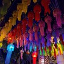 여행영어 야간중급 | 태국여행) 치앙마이 여행 필수코스 야간 도이수텝 투어후기 + 왓우몽사원 추천