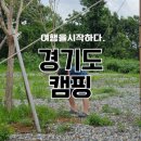 휘게캠피크 이미지