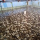 한울수산 이미지