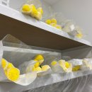 사평대로55길 97-5 이미지