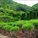 주목정원 이미지