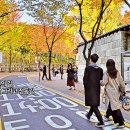 돌담연가 이미지