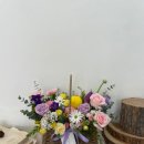 일산랩플레르